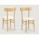 sedia in legno ROMA 8 bicolore in legno decapato massello per bar ristoranti online in stile shabby chic